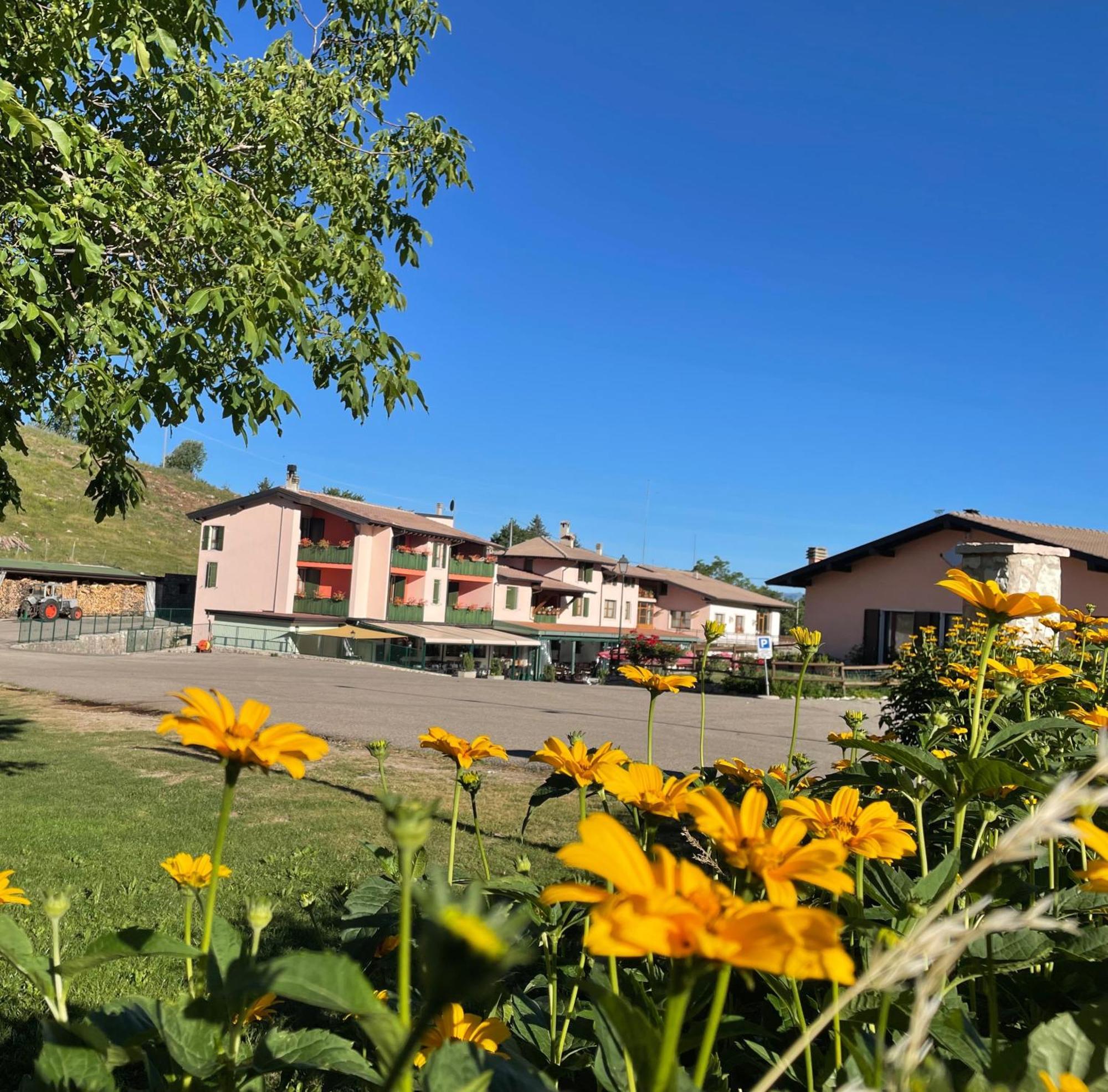 Hotel Edelweiss San Zeno di Montagna Eksteriør billede